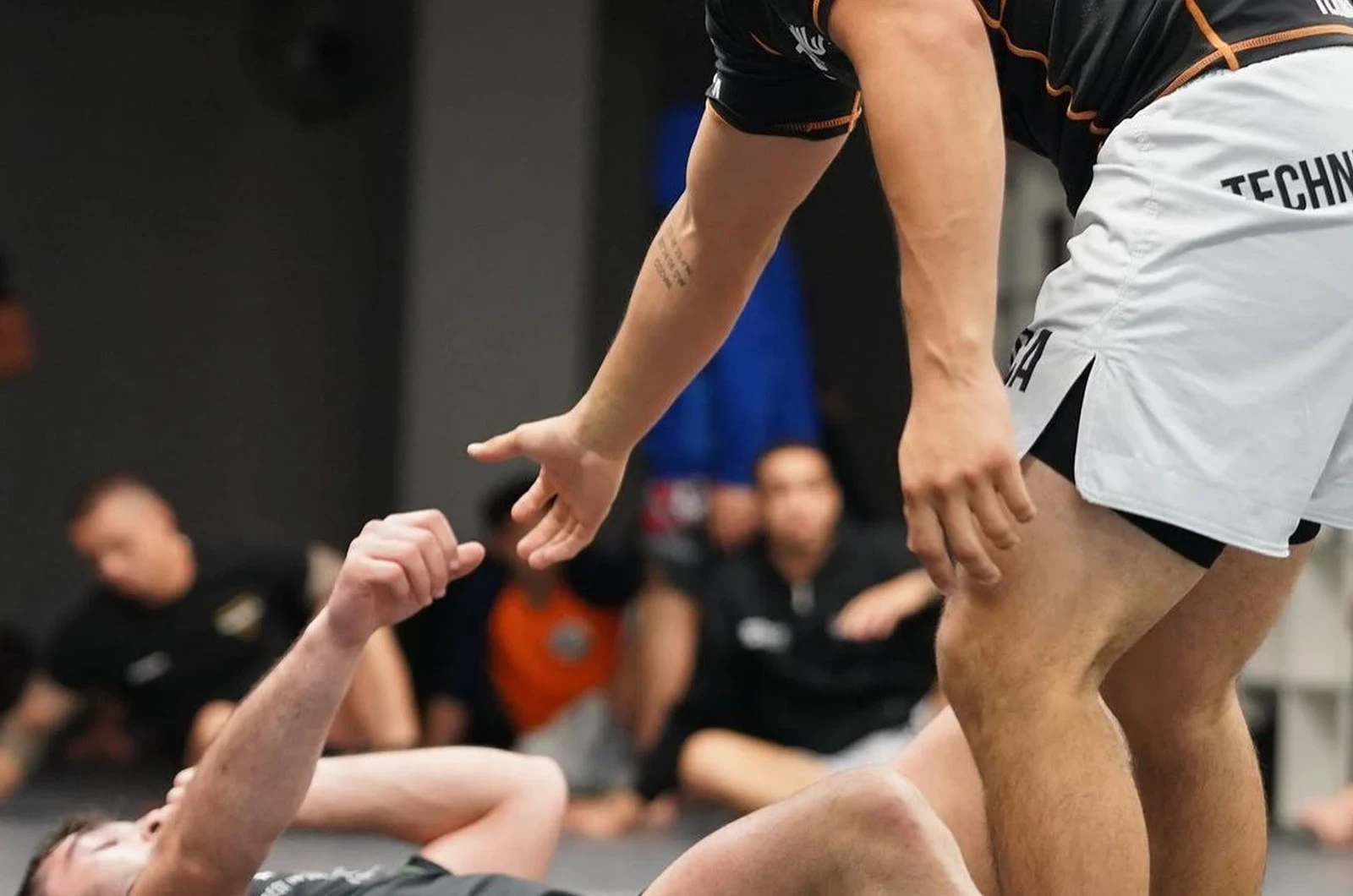 Expert wrestling coaching at Teknica Martial Arts